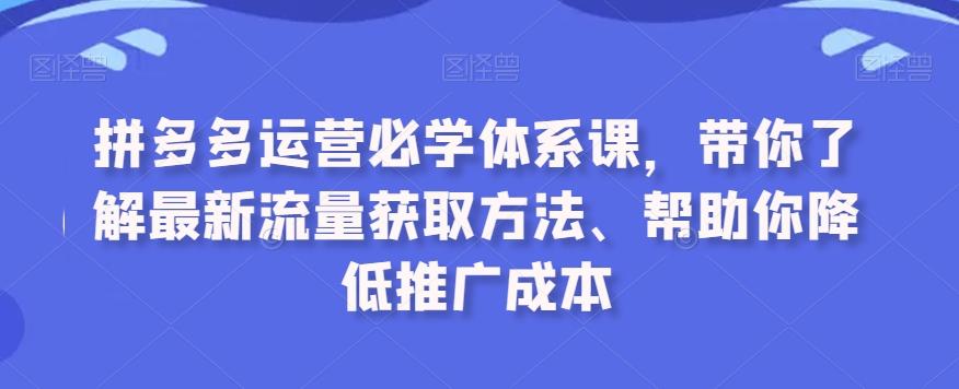 拼多多运营必学体系课，带你了解最新流量获取方法、帮助你降低推广成本-创新Ovo