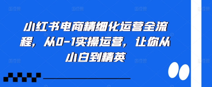 小红书电商精细化运营全流程，从0-1实操运营，让你从小白到精英-创新Ovo