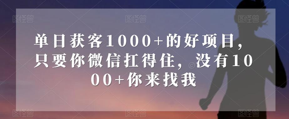 单日获客1000+的好项目，只要你微信扛得住，没有1000+你来找我【揭秘】-创新Ovo