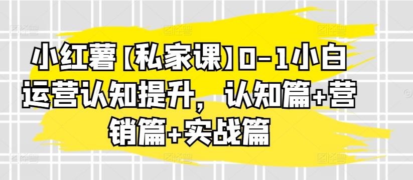 小红薯【私家课】0-1小白运营认知提升，认知篇+营销篇+实战篇-创新Ovo