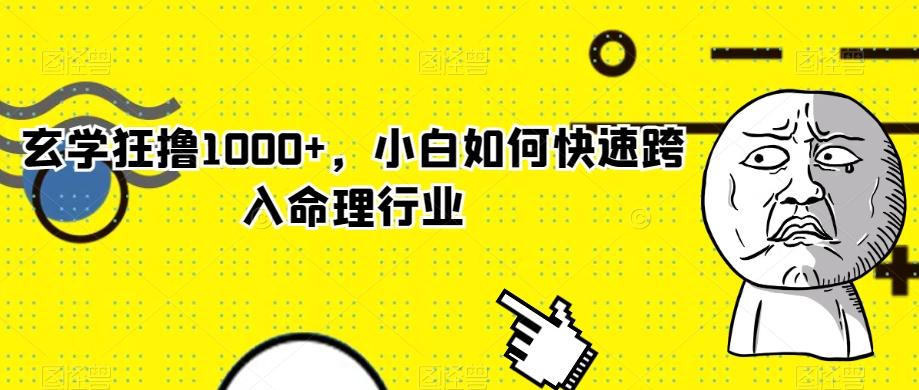 玄学狂撸1000+，小白如何快速跨入命理行业-创新Ovo