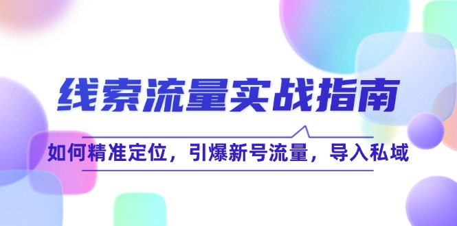 线 索 流 量-实战指南：如何精准定位，引爆新号流量，导入私域-创新Ovo