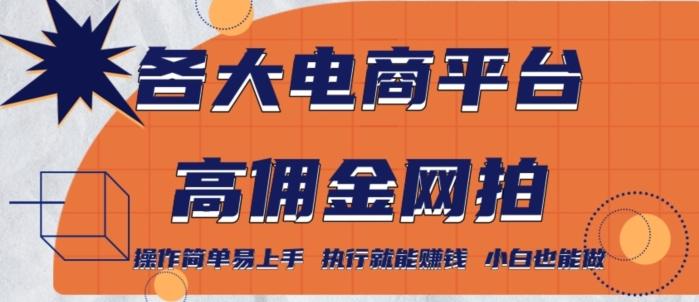 各大电商平台高佣金网拍，操作简单易上手，执行就能赚钱，小白也能做-创新Ovo
