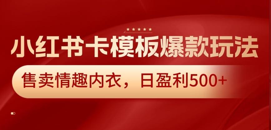 小红书卡模板爆款玩法，售卖情趣内衣，日盈利500+【揭秘】-创新Ovo