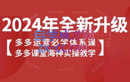 海神老师·拼多多运营必学体系课-创新Ovo