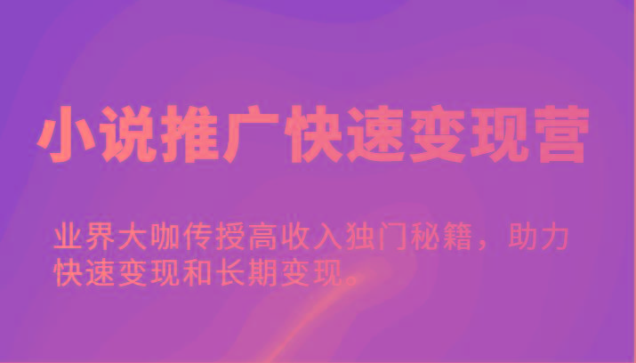 小说推广快速变现营-业界大咖传授高收入独门秘籍，助力快速变现和长期变现。-创新Ovo