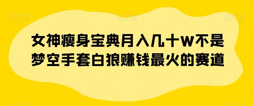 女神瘦身宝典月入几十W不是梦空手套白狼赚钱最火的赛道【揭秘】-创新Ovo