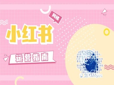 小红书运营指南，没有套路，全是经验-创新Ovo