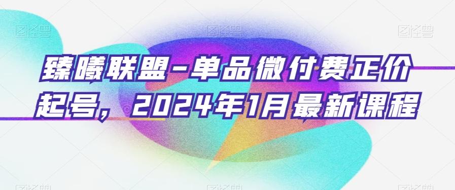 臻曦联盟-单品微付费正价起号，2024年1月最新课程-创新Ovo