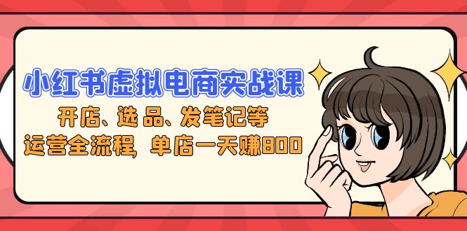 小红书虚拟电商实战课：开店、选品、发笔记等运营全流程，单店一天赚800-创新Ovo