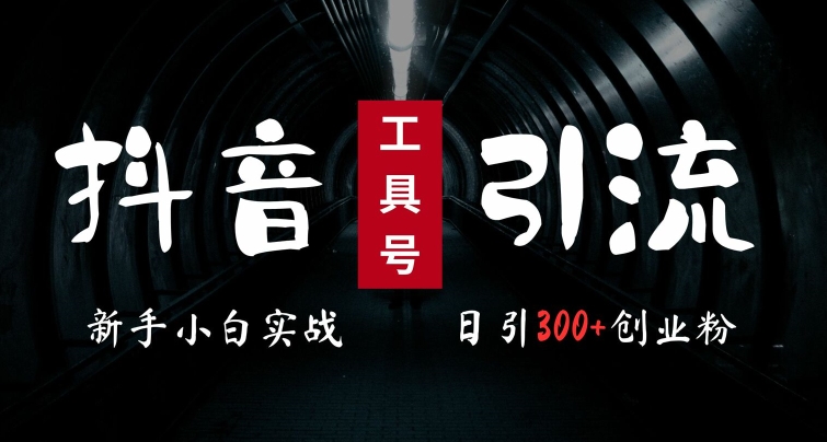 2024最新抖音工具号引流玩法，高效日引300+创业粉，当天变现5k，小白也可成为实战高手-创新Ovo