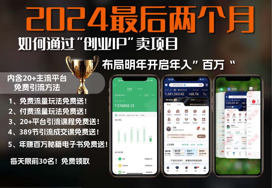 2024最后两个月如何通过”创业IP“卖项目年入”百万“,创业IP+最强引流…-创新Ovo