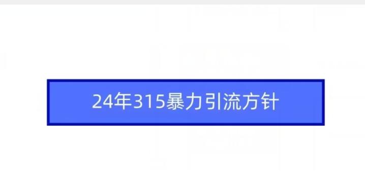 24年315暴力引流方针-创新Ovo
