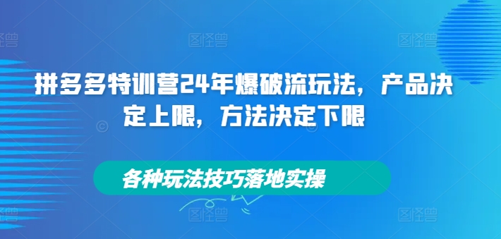 拼多多特训营24年爆破流玩法，产品决定上限，方法决定下限，各种玩法技巧落地实操-创新Ovo