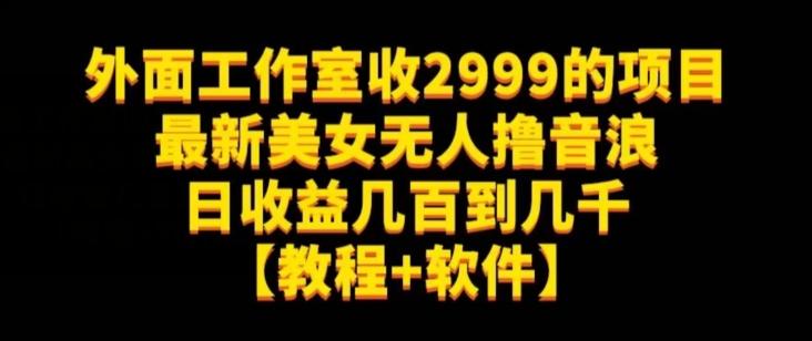 外面工作室收2999的项目最新美女无人撸音浪日收益几百到几千【教程+软件】（仅揭秘）-创新Ovo