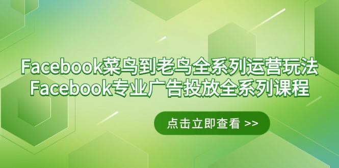Facebook-菜鸟到老鸟全系列运营玩法+Facebook-专业广告投放全系列课程-创新Ovo