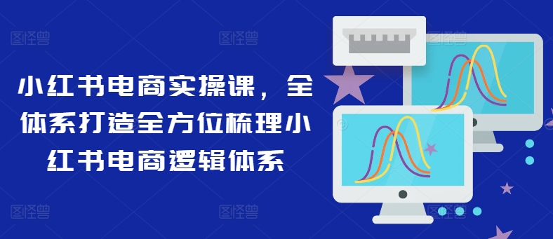 小红书电商实操课，全体系打造全方位梳理小红书电商逻辑体系-创新Ovo