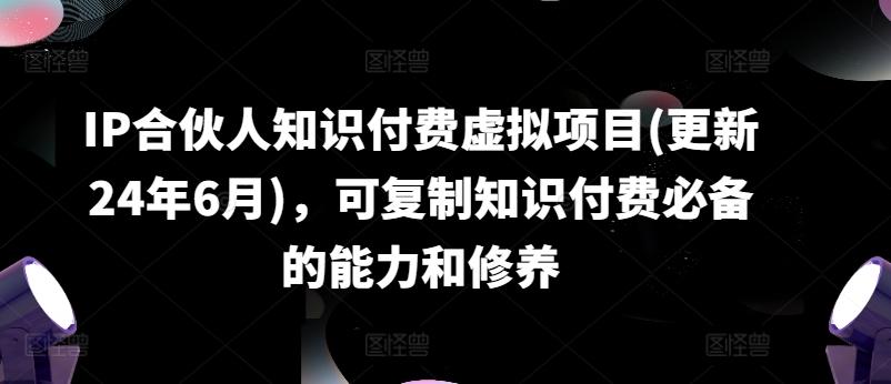 IP合伙人知识付费虚拟项目(更新24年6月)，可复制知识付费必备的能力和修养-创新Ovo