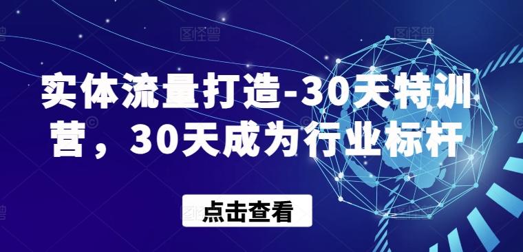实体流量打造-30天特训营，30天成为行业标杆-创新Ovo