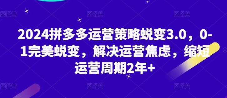 2024拼多多运营策略蜕变3.0，0-1完美蜕变，解决运营焦虑，缩短运营周期2年+-创新Ovo
