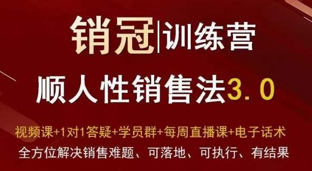 爆款！销冠训练营3.0之顺人性销售法，全方位解决销售难题、可落地、可执行、有结果-创新Ovo