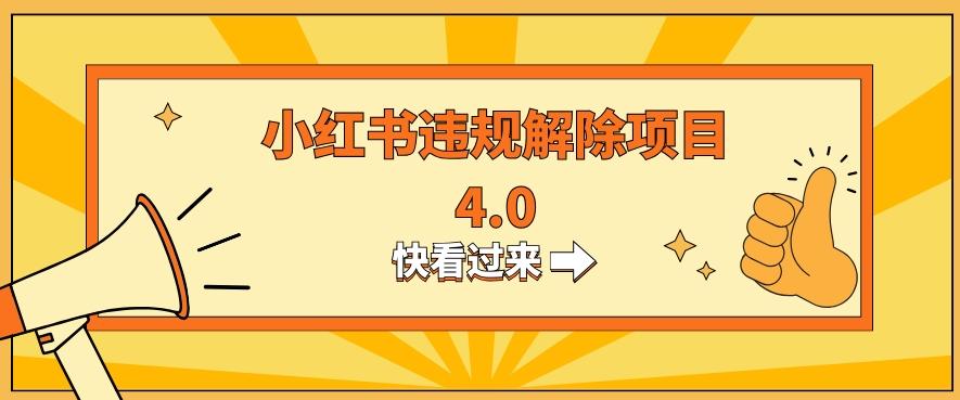 小红书违规掘金蓝海项目，日入800+（附带引流办法及解除办法）-创新Ovo