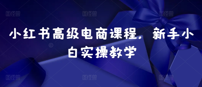 小红书高级电商课程，新手小白实操教学-创新Ovo