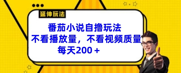 番茄小说自撸玩法，不看播放量，不看视频质量，每天200+【揭秘】-创新Ovo