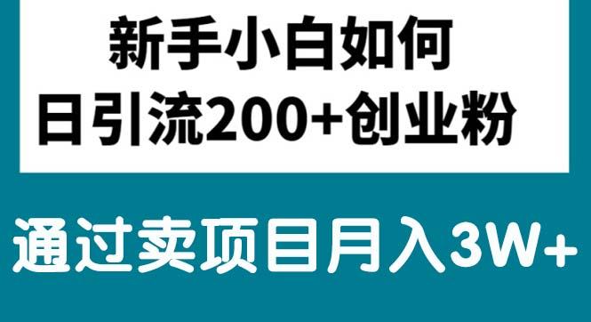 新手小白日引流200+创业粉,通过卖项目月入3W+-创新Ovo