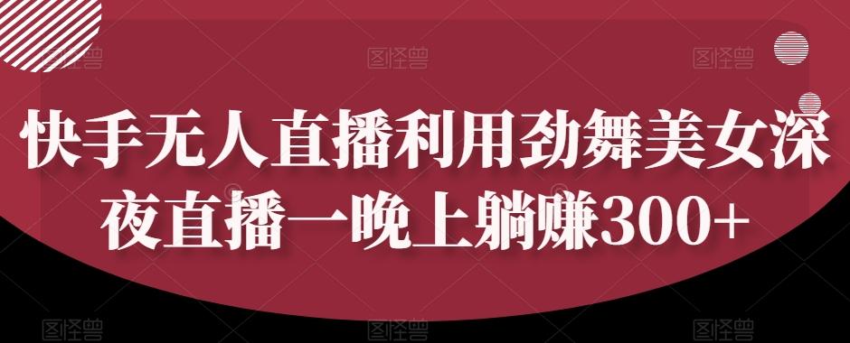 快手无人直播利用劲舞美女深夜直播一晚上躺赚300+-创新Ovo