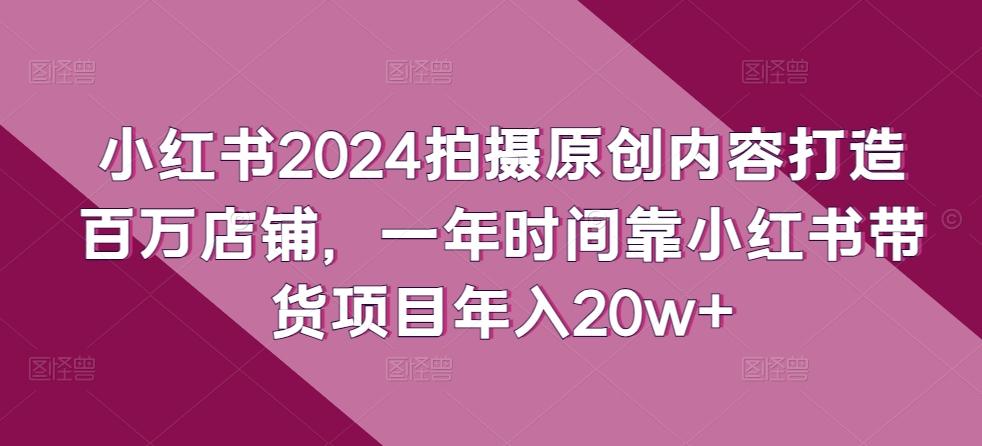 小红书2024拍摄原创内容打造百万店铺，一年时间靠小红书带货项目年入20w+-创新Ovo