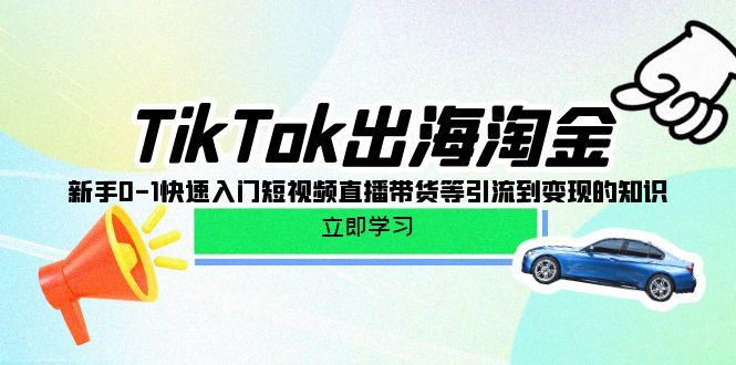 (10035期)TikTok-出海淘金，新手0-1快速入门短视频直播带货等引流到变现的知识-创新Ovo