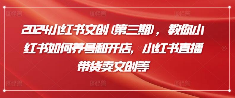 2024小红书文创(第三期)，教你小红书如何养号和开店，小红书直播带货卖文创等-创新Ovo