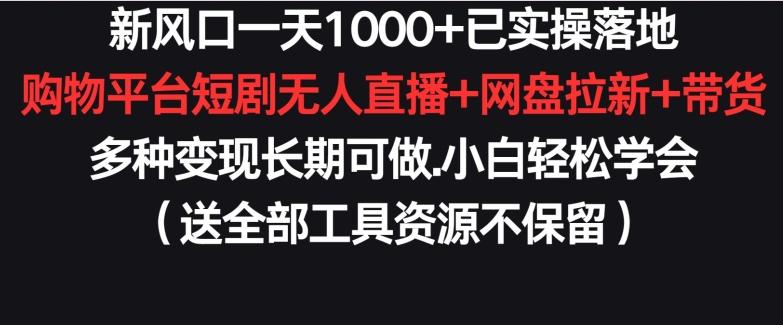 新风口一天1000+已实操落地购物平台短剧无人直播+网盘拉新+带货多种变现长期可做【揭秘】-创新Ovo