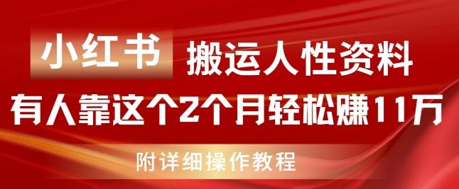 小红书搬运人性资料，有人靠这个2个月轻松赚11w，附教程【揭秘】-创新Ovo