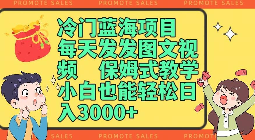 冷门蓝海项目，每天发发图文视频，保姆式教学，小白也能轻松日入3000+-创新Ovo