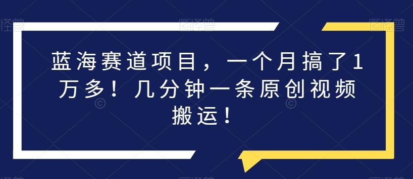 蓝海赛道项目，一个月搞了1万多！几分钟一条原创视频搬运！-创新Ovo
