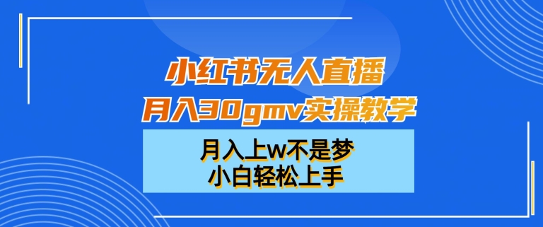 小红书无人直播月入30gmv实操教学，月入上w不是梦，小白轻松上手【揭秘】-创新Ovo