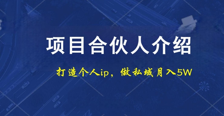 项目合伙人项目，打造个人IP，做私域月入5W，小白勿扰-创新Ovo