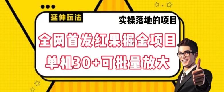 全网首发红果免费短剧掘金项目，单机30+可批量放大【揭秘】-创新Ovo
