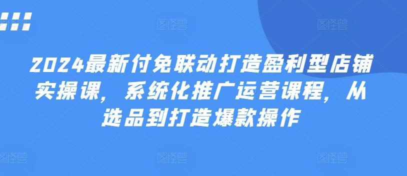 2024最新付免联动打造盈利型店铺实操课，​系统化推广运营课程，从选品到打造爆款操作-创新Ovo