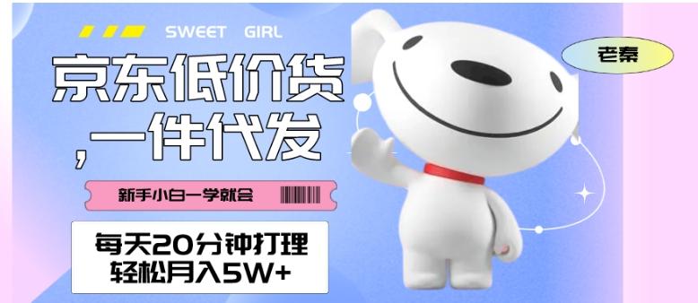 每天20分钟打理京东低价货，一件代发-轻松月入5W＋-创新Ovo
