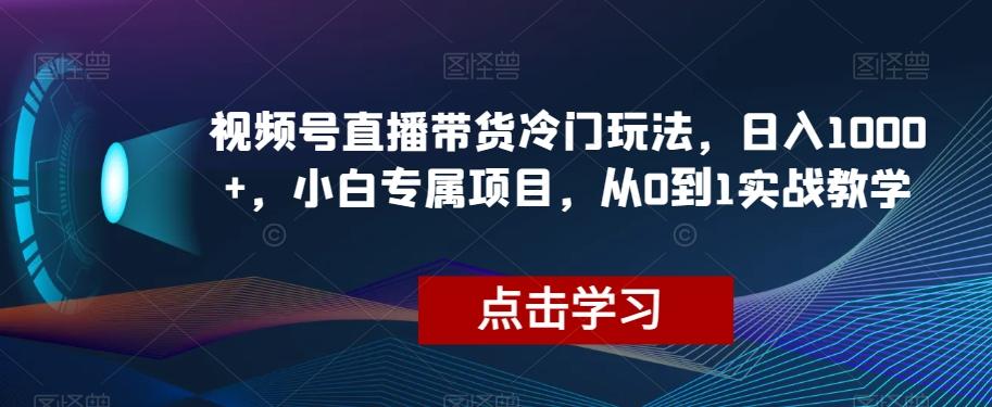 视频号直播带货冷门玩法，日入1000+，小白专属项目，从0到1实战教学【揭秘】-创新Ovo