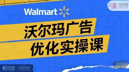 沃尔玛广告优化实操课，广告报告实操讲解，广告如何提高转化和ROAS等-创新Ovo