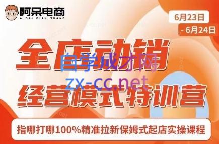 阿呆电商·全店动销经营模式特训营(线下录音+思维导图)-创新Ovo