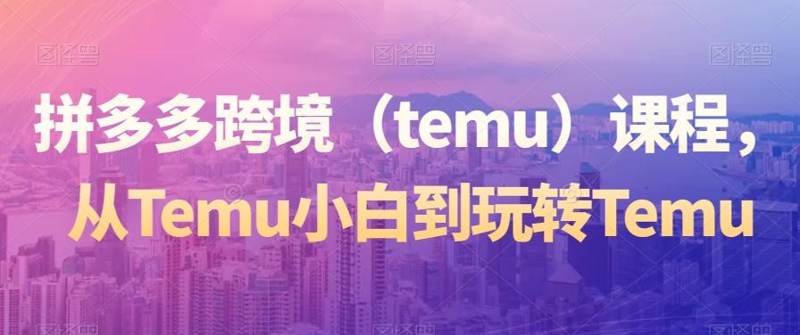 拼多多跨境（temu）课程，从Temu小白到玩转Temu-创新Ovo