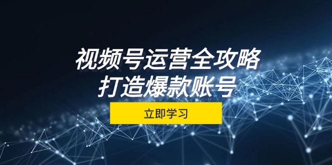 视频号运营全攻略，从定位到成交一站式学习，视频号核心秘诀，打造爆款…-创新Ovo