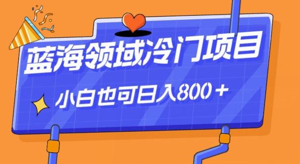 蓝海领域冷门赛道，一单39.9，日入800＋-创新Ovo