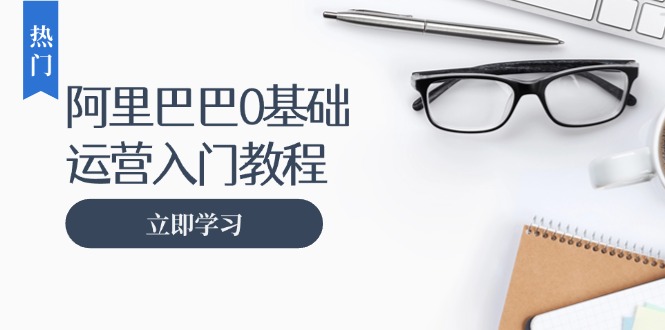 阿里巴巴运营零基础入门教程：涵盖开店、运营、推广，快速成为电商高手-创新Ovo
