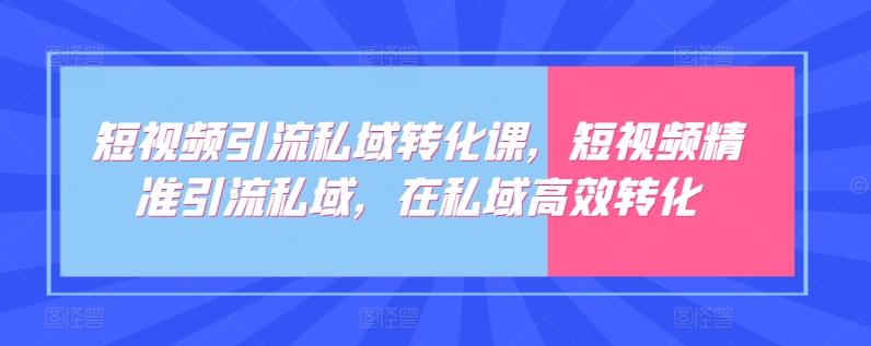 短视频引流私域转化课，短视频精准引流私域，在私域高效转化-创新Ovo